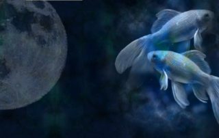 Vollmond in Fische