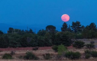 Vollmond im Wassermann - 03. August 2020