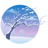 Winter - Baum - Frost - Kälte